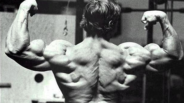 muscular-back