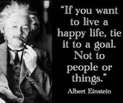 einstein goals-001