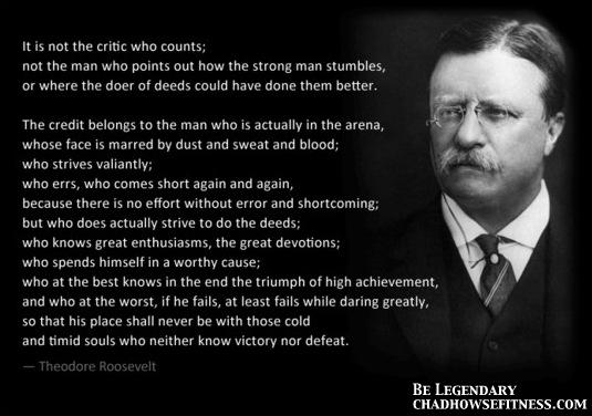 it is not the critic who counts